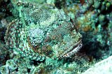 Curacao 04-12 441